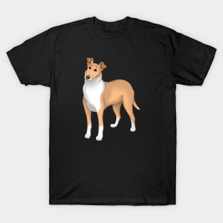 Sable Smooth Collie Dog T-Shirt